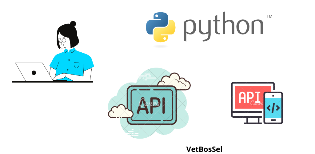 Python rest api. API Python.