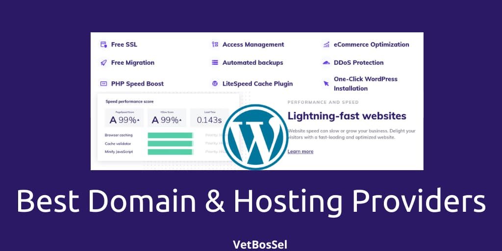 Read more about the article Best Domain Hosting WordPress
