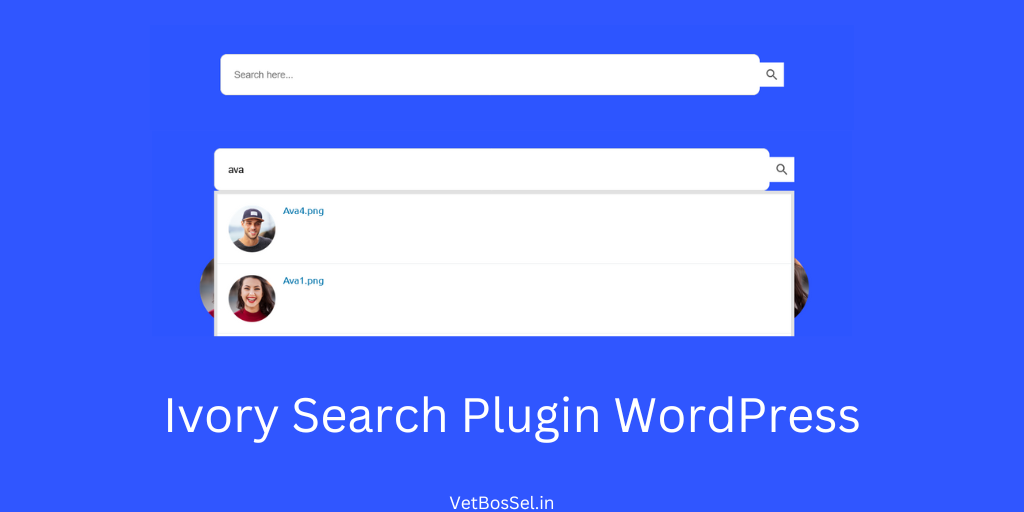 Read more about the article Ivory Search Plugin WordPress
